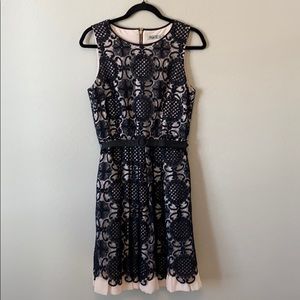 Eliza J Black Floral Lace Belted Dress